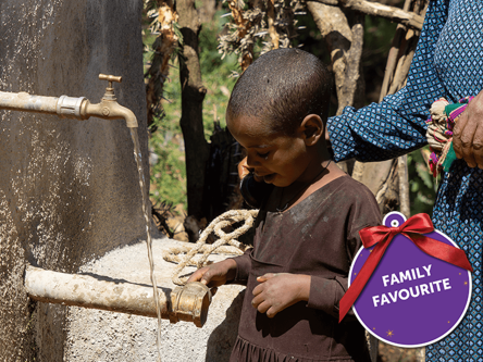 Capped Spring to Give a Vital Water Source